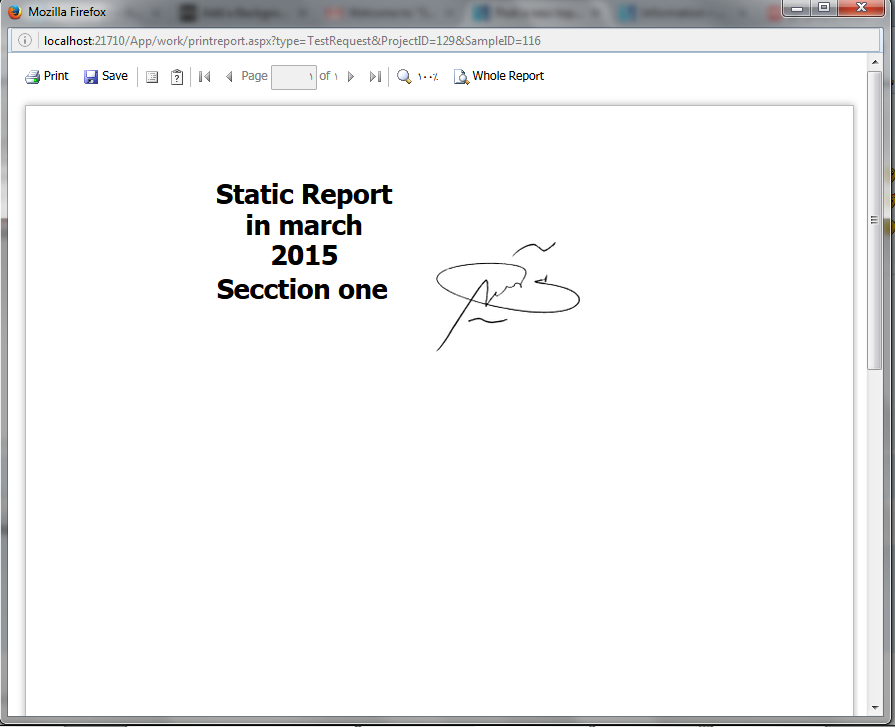 preview report in my asp.net project