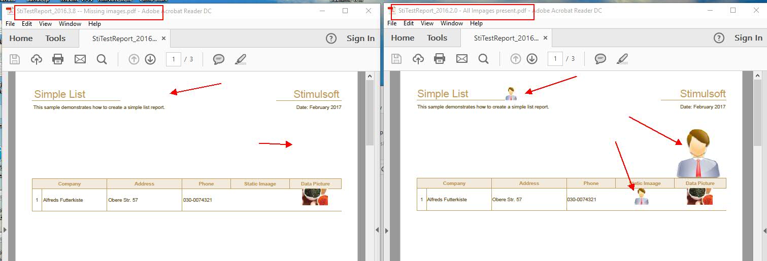 Sti Image bug with compiled reports.jpg