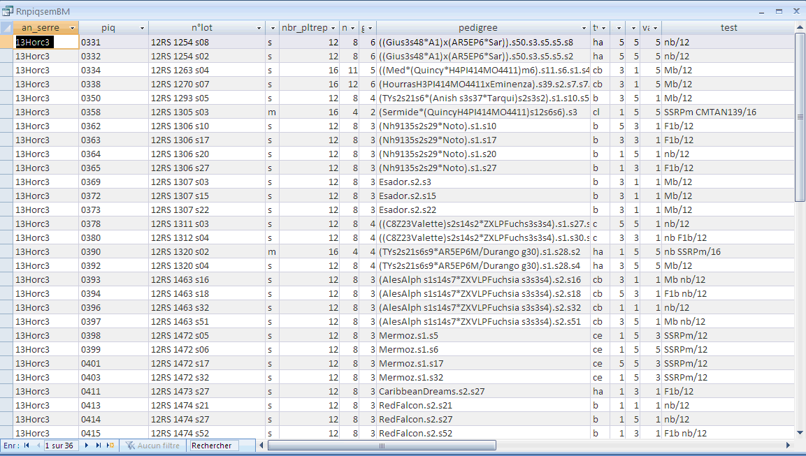 query_results.PNG