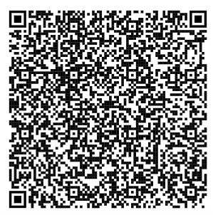 QR Code Online Generated.png