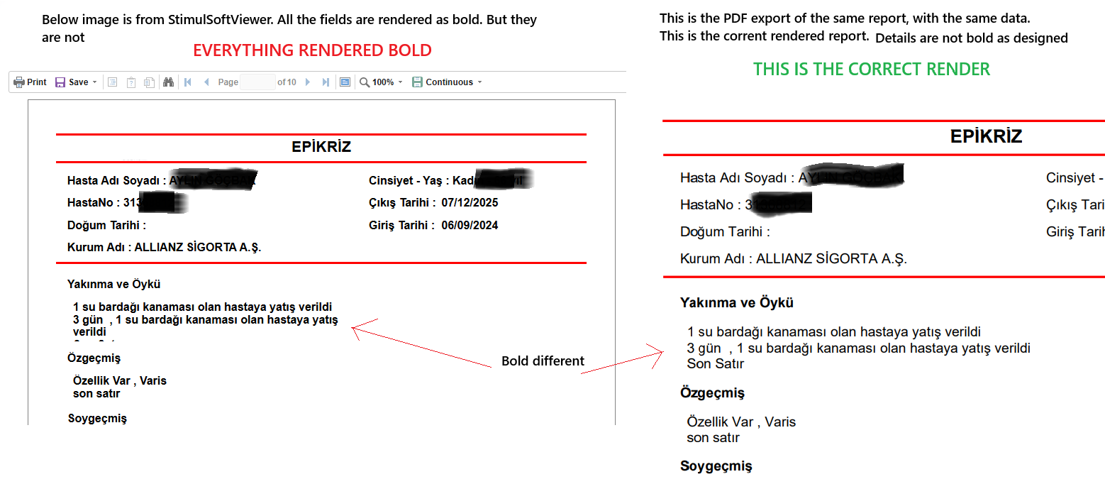 StimulsoftViewerBoldProblem.png