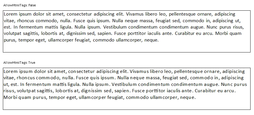 Report AllowHtmlTags Screenshot.jpg