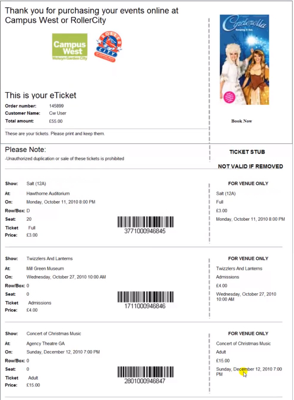 eticket sample.jpg