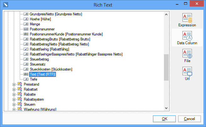 StimulReports Richt Text Data Column.png
