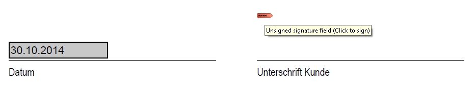 Example of signature field