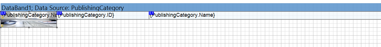 Image in DataBand - Design