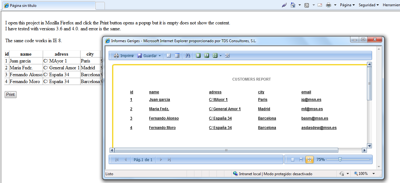 1035.Report in IE8.png
